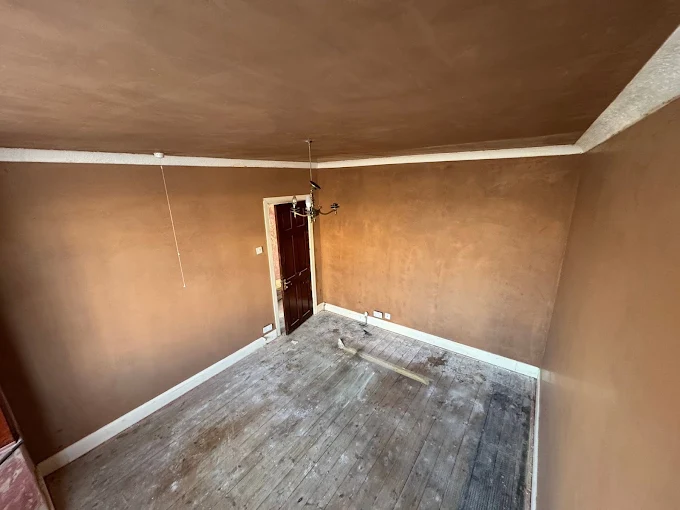 South Plaster and Paints